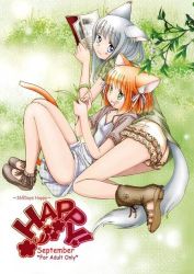 Rule 34 | 2girls, animal ears, cat ears, multiple girls, original, tsukiishi, yuri