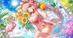 Rule 34 | 1girl, animal ears, apple caramel, artist name, barefoot, bird, blue butterfly, blue sky, braid, breasts, brown hair, bug, butterfly, cleavage, commission, copyright name, covered navel, day, drink, drinking straw, flamingo, flower, food, fruit, green eyes, hair flower, hair ornament, highres, insect, kneeling on liquid, large breasts, looking at viewer, maho (princess connect!), maho (summer) (princess connect!), orange (fruit), orange slice, outdoors, princess connect!, single braid, sky, solo, sunflower, sunlight, surfboard, swimsuit, tail, thigh strap, twin braids, twintails, water