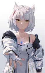 Rule 34 | 1girl, absurdres, animal ear fluff, animal ears, braid, camisole, chest jewel, closed mouth, collarbone, evan (pixiv7510743), fingerless gloves, gloves, grey hair, half gloves, highres, jacket, looking at viewer, mio (xenoblade), off shoulder, reaching, reaching towards viewer, revision, short hair, simple background, smile, solo, upper body, white camisole, white gloves, white jacket, xenoblade chronicles (series), xenoblade chronicles 3, yellow eyes