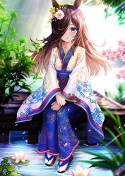 Rule 34 | 1girl, absurdres, alternate costume, animal ears, blue kimono, brown footwear, brown hair, cherry blossoms, collarbone, commentary request, day, floating hair, flower, full body, hair flower, hair ornament, hair over one eye, highres, horse ears, japanese clothes, kazamatsuri honatsu, kimono, light rays, long hair, long sleeves, looking at viewer, lotus, outdoors, parted lips, petals, pink flower, plant, purple eyes, rice shower (umamusume), sandals, sitting, socks, solo, two-tone kimono, umamusume, water, white kimono, white socks, wide sleeves, zouri