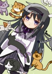 Rule 34 | 1girl, :&lt;, :3, akemi homura, arms at sides, artist name, black cat, black hair, black hairband, black pantyhose, black shirt, black trim, breasts, cat, collared shirt, commentary request, crossover, expressionless, green background, grey cat, grey skirt, hairband, jitome, long hair, long sleeves, lying, lying on person, magical girl, mahou shoujo madoka magica, mahou shoujo madoka magica (anime), messy hair, neck ribbon, neko atsume, on back, orange cat, pantyhose, pleated skirt, purple eyes, purple ribbon, ribbon, shirt, skirt, small breasts, solid circle eyes, solo, teruna (artist), too many, too many cats, two-tone fur, very long hair, vest, white cat, white trim, white vest
