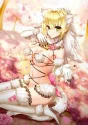 Rule 34 | 10s, 1girl, animal ears, arm up, bad id, bad pixiv id, blonde hair, blurry, boots, breasts, bridal veil, chain, cosplay, day, depth of field, fate/extra, fate/extra ccc, fate/grand order, fate (series), fur trim, hair between eyes, hair intakes, hand up, highres, lace, lace-trimmed legwear, lace trim, lock, mash kyrielight, mash kyrielight (dangerous beast), mash kyrielight (dangerous beast) (cosplay), meaomao, medium breasts, nero claudius (bride) (fate), nero claudius (fate), nero claudius (fate) (all), official alternate costume, outdoors, seiza, sidelocks, sitting, solo, tail, thigh boots, thighhighs, tsurime, veil, white thighhighs, wolf ears, wolf tail