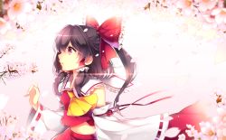 Rule 34 | 1girl, ascot, backlighting, black hair, bow, branch, cherry blossoms, detached sleeves, facing away, gradient background, hair bow, hair tubes, hakurei reimu, highres, kurisu sai, lens flare, midriff, parted lips, petals, ponytail, profile, red eyes, ribbon-trimmed sleeves, ribbon trim, short hair, skirt, skirt set, solo, touhou, wind