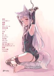 Rule 34 | 1girl, animal ears, arm up, armpits, arms up, barefoot, bdsm, black thighhighs, blunt bangs, blush, bodysuit, bondage, bound, bound wrists, cuffs, cushion, feet, full body, handcuffs, heterochromia, highres, hiten (hitenkei), leotard, long hair, looking at viewer, open mouth, original, plaid, plaid scarf, scarf, silver hair, sitting, soles, solo, star-shaped pupils, star (symbol), symbol-shaped pupils, tail, tears, thighhighs, toes, torn clothes, torn thighhighs, translation request, tsurime, twitter username, wariza