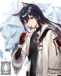 Rule 34 | 1girl, absurdres, animal ears, arknights, black hair, black shirt, cigarette, cigarette pack, coat, earrings, fur trim, gloves, highres, holding, id card, jewelry, long hair, long sleeves, looking at viewer, momosawa nao, multicolored hair, necklace, official alternate costume, open clothes, open coat, penguin logistics logo, red eyes, red gloves, shirt, smoking, solo, strap, texas (arknights), texas (winter messenger) (arknights), turtleneck, two-tone hair, upper body, white coat, wolf ears