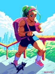 Rule 34 | 1girl, backpack, bag, black eyes, blue sky, bottle, cat, cityscape, cloud, dated, drinking, green hair, kitten, looking down, muscular, muscular female, original, pip (artofpip), pixel art, shoes, shorts, sky, sneakers, socks, solo, stairs, tank top, thick thighs, thighs, water bottle