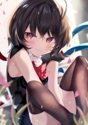 Rule 34 | 1girl, asymmetrical wings, bad id, bad twitter id, bare shoulders, black dress, black hair, black thighhighs, blue wings, blush, bow, bowtie, commentary request, dress, fang, fang out, feet out of frame, hair between eyes, highres, houjuu nue, knees up, looking at viewer, petals, red bow, red bowtie, red eyes, red wings, satoupote, short hair, sitting, sleeveless, sleeveless dress, smile, solo, thighhighs, thighs, touhou, wings