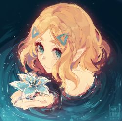 Rule 34 | 1girl, aqua eyes, artist name, blonde hair, blue flower, braid, closed mouth, commentary, crown braid, english commentary, flower, from above, hair ornament, hairclip, highres, holding, holding flower, kamochiru, looking at viewer, looking up, nintendo, parted bangs, partially submerged, pointy ears, princess zelda, ripples, short hair, silent princess, sketch, smile, solo, the legend of zelda, the legend of zelda: breath of the wild, the legend of zelda: tears of the kingdom, thick eyebrows, upper body, water