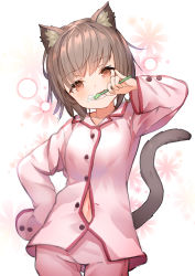 Rule 34 | 1girl, animal ear fluff, animal ears, blush, brown eyes, brown hair, brushing teeth, cat ears, cat girl, cat tail, collared shirt, commentary request, floral background, hand on own hip, holding, holding toothbrush, long sleeves, navel, original, pajamas, pants, pink pajamas, pink pants, pink shirt, rk (rktorinegi), shirt, short hair, sleeves past fingers, sleeves past wrists, solo, tail, tail raised, toothbrush, white background