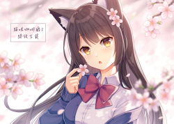 Rule 34 | 1girl, animal ear fluff, animal ears, blue cardigan, blurry, blurry background, blurry foreground, blush, bow, breasts, brown eyes, brown hair, cardigan, chestnut mouth, collared shirt, commentary request, depth of field, dress shirt, flower, hair flower, hair ornament, head tilt, hitsuki rei, holding, holding flower, long hair, long sleeves, looking at viewer, medium breasts, off shoulder, open cardigan, open clothes, original, parted lips, pink flower, red bow, shirt, sleeves past wrists, solo, translation request, white shirt