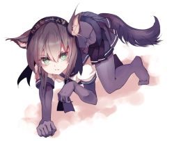 Rule 34 | 10s, 1girl, animal ears, bad id, bad twitter id, black gloves, black pantyhose, black skirt, cis (carcharias), dog ears, dog tail, elbow gloves, full body, gloves, hairband, hatsuzuki (kancolle), kantai collection, kemonomimi mode, looking at viewer, miniskirt, pantyhose, paw pose, pleated skirt, puffy short sleeves, puffy sleeves, shirt, short hair, short sleeves, simple background, skirt, solo, tail, white background, white shirt, wolf ears, wolf tail