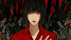 Rule 34 | 1boy, berry, black hair, bob cut, closed mouth, collared shirt, commentary request, hand up, highres, kagoya1219, looking at viewer, male focus, original, plant, red background, red shirt, sanpaku, shirt, short hair, solo, straight-on, tree, upper body