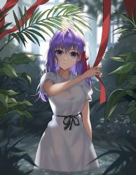 Rule 34 | 1girl, absurdres, black ribbon, closed mouth, dress, fate/stay night, fate (series), hair ribbon, head tilt, heaven&#039;s feel, highres, huge filesize, long hair, looking at viewer, matou sakura, official alternate costume, partially submerged, plant, purple eyes, purple hair, red ribbon, ribbon, roti, short sleeves, solo, wading, water, wet, wet clothes, wet hair, white dress
