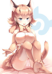Rule 34 | 10s, 1girl, :d, absurdres, animal ears, bare shoulders, blue eyes, blush, bow, bowtie, breasts, brown hair, caracal (kemono friends), commentary request, elbow gloves, extra ears, gloves, highres, japari symbol, kanzakietc, kemono friends, large breasts, crossed legs, looking at viewer, open mouth, panties, pantyshot, shirt, short hair, sitting, sleeveless, sleeveless shirt, smile, solo, tail, thighhighs, traditional bowtie, underwear, v-shaped eyebrows