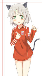 Rule 34 | 1girl, adidas, animal ears, bad id, bad pixiv id, barclays premier league, blush, cat ears, cat tail, england, glastonbury1966, green eyes, jersey, liverpool fc, no pants, open mouth, sanya v. litvyak, silver hair, solo, strike witches, tail, world witches series