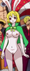Rule 34 | 1girl, carrot (one piece), cleft of venus, furry, monkey d. luffy, one piece, rabbit ears, sanji (one piece), tagme