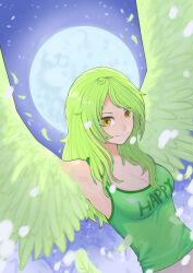 Rule 34 | 1girl, breasts, cleavage, clothes writing, feathered wings, feathers, flying, green feathers, green hair, green wings, harpy, highres, long hair, looking at viewer, medium breasts, midriff, monet (one piece), monster girl, moon, navel, one piece, owl (jiyuuninarita1), smile, snow, solo, tank top, winged arms, wings, yellow eyes