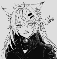 Rule 34 | 1girl, animal ear fluff, animal ears, arknights, blood, grey background, greyscale, hair between eyes, hair ornament, hairclip, inu to milk, jacket, lappland (arknights), long hair, looking to the side, monochrome, nosebleed, parted lips, simple background, solo, upper body