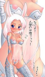Rule 34 | 00s, animal ears, breasts, cleft of venus, final fantasy, final fantasy xii, hase yu, nipples, pussy, revealing clothes, uncensored, underwear, viera, wedgie