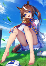 Rule 34 | 1girl, animal ears, barefoot, bloomers, blue eyes, blue sky, brown hair, cloud, commentary request, day, epaulettes, grass, highres, horse ears, horse girl, horse tail, legs, long hair, looking at viewer, multicolored hair, open mouth, outdoors, ponytail, sky, smile, solo, streaked hair, tail, teeth, tks (526tks), toenails, toes, tokai teio (umamusume), umamusume, underwear, upper teeth only, white bloomers, white hair