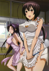 Rule 34 | 2girls, :d, absurdres, ahoge, apron, black hair, blush, breasts, brown hair, covered erect nipples, hair ribbon, hand on own hip, highres, impossible clothes, kazehana, kitchen, ladle, large breasts, leaning forward, lipstick, long hair, makeup, multiple girls, musubi, naked apron, naughty face, non-web source, nyantype, official art, one eye closed, open mouth, orange eyes, ponytail, purple eyes, purple hair, ribbon, sekirei, smile, standing, thighs, tomooka shinpei, very long hair, window, wink