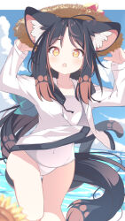 1girl :o animal_ear_fluff animal_ears arms_up black_hair blue_sky blurry blurry_foreground blush brown_eyes brown_hair brown_hat cat_ears cat_girl cat_tail cloud commentary_request covered_navel daidai_ookami day depth_of_field drawstring flower forehead hands_on_headwear hat highres horizon jacket long_hair looking_at_viewer multicolored_hair ocean old_school_swimsuit one-piece_swimsuit open_clothes open_jacket original outdoors parted_bangs parted_lips school_swimsuit sky solo standing straw_hat sunflower swimsuit swimsuit_under_clothes tail two-tone_hair water white_jacket white_one-piece_swimsuit yellow_flower