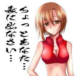 Rule 34 | 1girl, breasts, brown eyes, brown hair, lowres, meiko (vocaloid), misana, short hair, solo, translation request, vocaloid