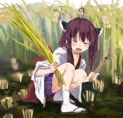 Rule 34 | 1girl, :d, ^ ^, ahoge, blue skirt, brown footwear, brown hair, closed eyes, commentary request, day, facing viewer, headgear, highres, holding, japanese clothes, kimono, lamb (hitsujiniku), long hair, long sleeves, notice lines, open mouth, outdoors, pleated skirt, rice, sandals, skirt, smile, solo, squatting, tabi, touhoku kiritan, twintails, voiceroid, white kimono, white sleeves, wide sleeves, zouri