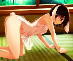 Rule 34 | 1girl, all fours, animal ears, ass, black hair, blush, brown eyes, brown hair, chemise, female focus, hinohoshi ataru, inaba tewi, looking at viewer, no panties, rabbit ears, rabbit girl, rabbit tail, red eyes, sany, see-through, short hair, solo, tail, tatami, thighs, touhou