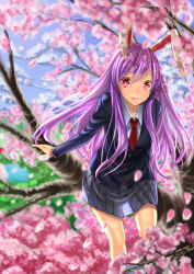 Rule 34 | 1girl, animal ears, bad id, bad pixiv id, blazer, cherry blossoms, female focus, jacket, lips, long hair, looking at viewer, necktie, petals, pink eyes, purple hair, rabbit ears, red necktie, reisen udongein inaba, revision, see-through silhouette, skirt, smile, solo, touhou, tree, unowen