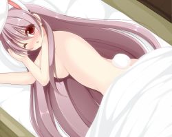 Rule 34 | 1girl, animal ears, blanket, blush, breasts, rabbit, chestnut mouth, chimunge, extra ears, female focus, large breasts, long hair, looking at viewer, looking back, lying, nude, on side, one eye closed, pink eyes, purple hair, rabbit ears, rabbit girl, rabbit tail, reisen udongein inaba, solo, tail, touhou, very long hair, wink