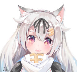 Rule 34 | 1girl, animal ears, azur lane, blush, chinese commentary, commentary request, cosplay, dog ears, fangs, hair flaps, hair ornament, hair ribbon, hairclip, highres, historical name connection, kantai collection, looking at viewer, name connection, portrait, red eyes, ribbon, silver hair, simple background, solo, white background, wuhuo, yuudachi (azur lane), yuudachi (kancolle), yuudachi (kancolle) (cosplay)