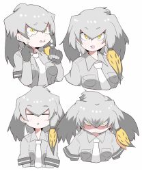 Rule 34 | 10s, character sheet, expressions, grey hair, grey shirt, head wings, kemono friends, ko1mitaka, low ponytail, multicolored hair, necktie, shaded face, shirt, shoebill (kemono friends), short sleeves, side ponytail, triangle mouth, wings, yellow eyes