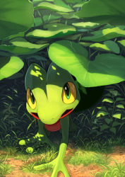 Rule 34 | all fours, colored sclera, commentary, creatures (company), from above, game freak, gen 3 pokemon, grass, green eyes, highres, ivy, karamimame, leaf, looking at viewer, nintendo, no humans, on ground, open mouth, outdoors, pokemon, pokemon (creature), treecko, yellow sclera