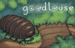 Rule 34 | animal, artist name, bug, cliff, commentary, english commentary, everson woodlouse, grass, isopod, no humans, original, outdoors, plant, tagme