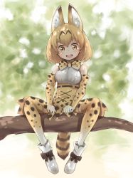 Rule 34 | 10s, 1girl, absurdres, animal ears, bare shoulders, blonde hair, blush, bow, bowtie, elbow gloves, gloves, haru (renol), highres, in tree, kemono friends, looking at viewer, open mouth, serval (kemono friends), serval print, serval tail, shoes, short hair, sitting, sitting in tree, skirt, sleeveless, smile, solo, tail, thighhighs, tree, yellow eyes