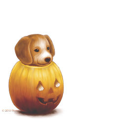 Rule 34 | beagle, dog, in container, lowres, no humans, original, pumpkin, puppy, white background