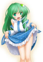 Rule 34 | 1girl, bare shoulders, blush, breasts, clothes lift, detached sleeves, female focus, frog, green eyes, green hair, hair ornament, hair tubes, highres, kochiya sanae, long hair, matching hair/eyes, open mouth, skirt, skirt lift, smile, snake, solo, t2r, touhou