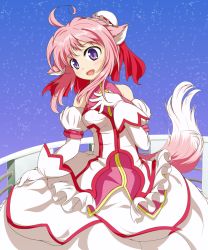Rule 34 | 10s, 1girl, ahoge, animal ears, bare shoulders, breasts, dog days, dog ears, dog tail, dress, female focus, frills, gloves, highres, millhiore f. biscotti, open mouth, outdoors, pink hair, pobii, purple eyes, ribbon, short hair, sidelocks, sky, smile, solo, star (sky), starry sky, tail, white gloves
