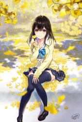 Rule 34 | 1girl, ahoge, animal, black footwear, black hair, black skirt, black thighhighs, blue bow, blurry, blurry background, blurry foreground, blush, bow, breasts, brown eyes, chihuahua, closed mouth, collared shirt, commentary request, depth of field, dog, ginkgo leaf, hair between eyes, holding, holding leaf, leaf, loafers, long hair, medium breasts, original, plaid, plaid bow, pleated skirt, sanbasou, school uniform, shirt, shoes, signature, sitting, skirt, smile, solo, sweater, thighhighs, white shirt, yellow sweater