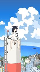 Rule 34 | 1girl, animal ears, bare shoulders, bird, black hair, building, cat ears, cat girl, cat tail, city, cityscape, cloud, cloudy sky, day, dead animal, dress, female focus, fisheye, highres, hishiko iwashi, horizon, jaggy lines, ladder, notched ear, ocean, oekaki, original, outdoors, power lines, red eyes, rooftop, sitting, sky, solo, tail, white dress