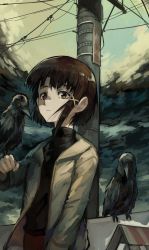 Rule 34 | 1girl, absurdres, bird, bird on hand, black sweater, brown eyes, brown hair, crow, hair ornament, hand up, highres, iwakura lain, jacket, kornod, looking at viewer, power lines, serial experiments lain, short hair, solo, standing, sweater, turtleneck, turtleneck sweater, upper body, utility pole, x hair ornament, yellow jacket