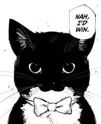 Rule 34 | animal focus, black eyes, black fur, bow, cat, commentary, english commentary, greyscale, looking at viewer, meme, monochrome, nah i&#039;d win (meme), no humans, papyuuno, real life, simple background, speech bubble, uni (cat), whiskers, white background