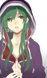 Rule 34 | 1girl, green hair, hood, hoodie, hoshi ataru, kagerou project, kido tsubomi, long hair, red eyes, solo, unzipping
