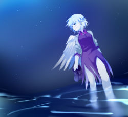 Rule 34 | 1girl, bad id, bad pixiv id, boots, unworn boots, bow, bowtie, braid, brooch, carrying clothes, dress, french braid, holding, holding shoes, jacket, jewelry, kishin sagume, looking to the side, night, night sky, refraction, shikushiku (amamori weekly), shoes, silver hair, single wing, sky, sleeves rolled up, solo, star (sky), starry sky, touhou, wading, wings
