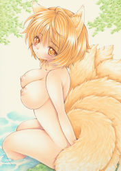 Rule 34 | 1girl, animal ears, blonde fur, blonde hair, breasts, female focus, fox ears, fox tail, from side, fur, large breasts, legs, looking at viewer, marker (medium), multiple tails, nipples, nude, outdoors, partially submerged, plant, satsuki (gogotaru), short hair, sitting, solo, tail, touhou, traditional media, water, yakumo ran, yellow eyes