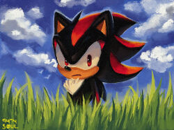 Rule 34 | 1boy, 9474s0ul, animal ears, animal nose, closed mouth, cloud, commentary, day, english commentary, furry, furry male, grass, looking at viewer, male focus, outdoors, pokemon art academy, red eyes, shadow the hedgehog, signature, solo, sonic (series), upper body
