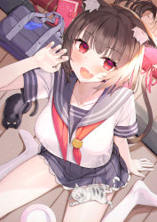 Rule 34 | 1girl, absurdres, animal ears, arm support, bag, black hair, blue sailor collar, blue skirt, breasts, cat, cat girl, cat tail, claw pose, collarbone, commentary request, diary, fang, highres, large breasts, looking at viewer, nogami (minamiituki), on floor, open mouth, original, pleated skirt, red eyes, ribbon, sailor collar, saucer, school bag, school uniform, serafuku, short sleeves, sitting, skin fang, skirt, smile, solo, tail, tail ornament, tail ribbon, thighhighs, thighs, uniform, wariza, white thighhighs, wooden floor