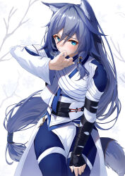 Rule 34 | 1girl, animal ears, asymmetrical clothes, blue pants, blush, cat ears, chinese clothes, covering own mouth, fu hua, fu hua (azure empyrea), fu hua (taixuan impression), furrowed brow, grey hair, hair between eyes, hand on own thigh, highres, honkai (series), honkai impact 3rd, long hair, long sleeves, mixed-language commentary, pants, shy, signature, simple background, solo, tail, upper body, white background, xfate