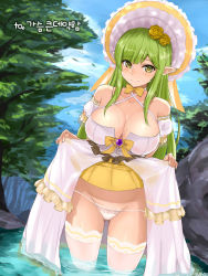 Rule 34 | 1girl, alternate costume, blurry, breasts, cleavage, clothes lift, collarbone, criss-cross halter, day, depth of field, detached sleeves, dress, dress lift, dutch angle, elf, elsword, flower, forest, gluteal fold, green eyes, green hair, hair flower, hair ornament, halterneck, hat, large breasts, long hair, looking at viewer, lowleg, lowleg panties, matching hair/eyes, nature, no bra, off-shoulder dress, off shoulder, outdoors, panties, pointy ears, rena erindel, ribbon, rock, rose, shaojiang, sidelocks, solo, thighhighs, thighs, tree, underwear, victorian, wading, water, white thighhighs, yellow flower, yellow ribbon, yellow rose